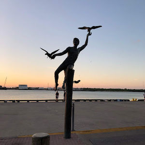 Meet your Posher, Jackson